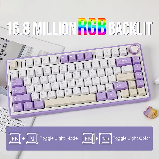 EPOMAKER x Aula F75 Gasket Mechanical Keyboard, 75% Wireless Hot Swappable Gaming Keyboard with Five-Layer Padding&Knob, BT/2.4GHz/USB-C, RGB (Purple, LEOBOG Reaper Switch)