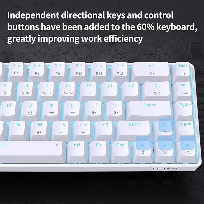 DIERYA T68SE 60% Gaming Mechanical Keyboard,Ultra Compact Mini 68 Key with Brown Switch Wired Keyboard,Anti-Ghosting Keys, for Windows Laptops and PC Gamers,White