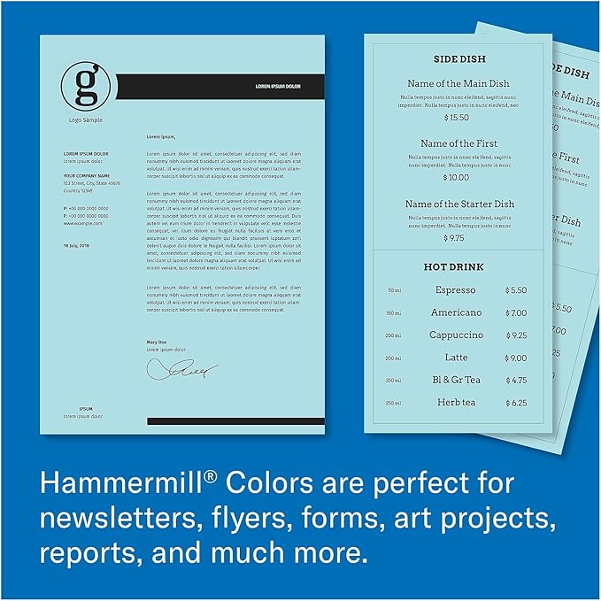 Hammermill Colored Paper, 20 lb Blue Printer Paper, 8.5 x 11 - Made in the USA, Pastel Paper, 103309C - 10 Ream (5,000 Sheets)