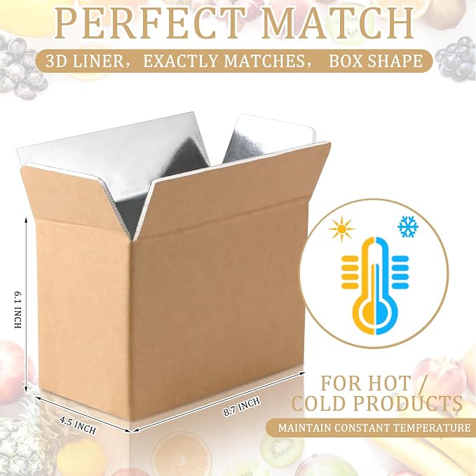 Insulated Shipping Box Cold Double Insulated Carton with Foil Foam Cooler Boxes Delivery Moving Kits Foam Shipping Containers for Mailing Packing, Box Inside 8.7'' x 4.5''x 6.1''(10 Pcs)