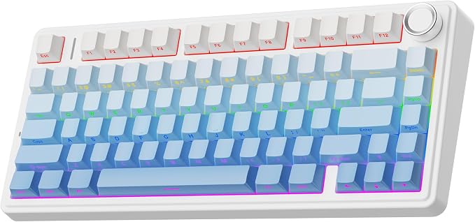 EPOMAKER x Aula F75 Gasket Mechanical Keyboard, 75% Wireless Hot Swappable Gaming Keyboard with Five-Layer Padding&Knob, BT/2.4GHz/USB-C, RGB (Blue Gradient, LEOBOG Reaper Switch)