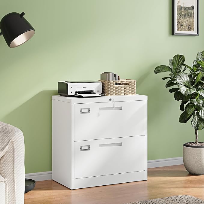 2 Drawer File Cabinet with Lock,Metal Lateral Filing Cabinet for Home Office,Hanging Letter/Legal/A4 Size (White, H27.95×W28.35×D15.74)