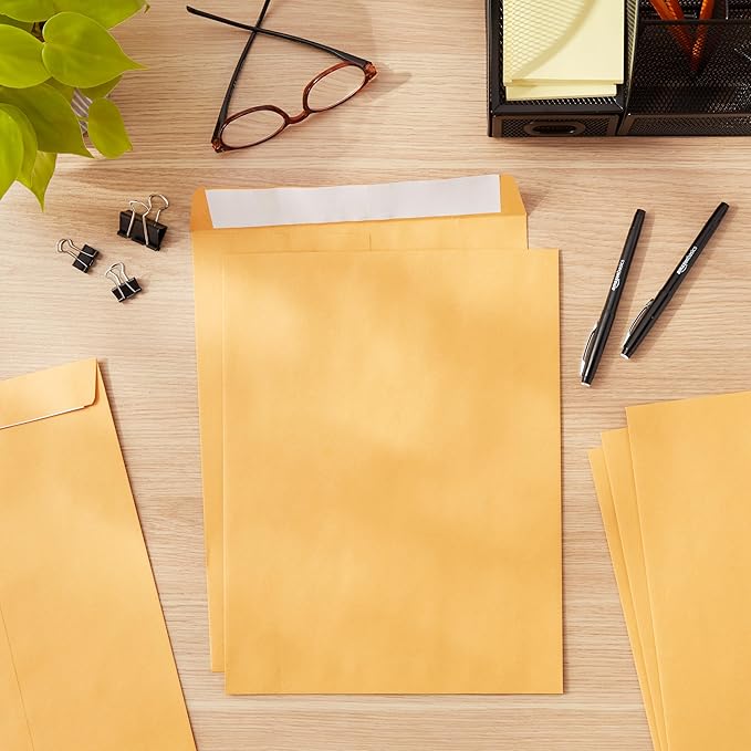 Amazon Basics Catalog Mailing Envelopes,Peel and Seal,10x13 Inch,Brown Kraft,250 Count (Pack of 2)