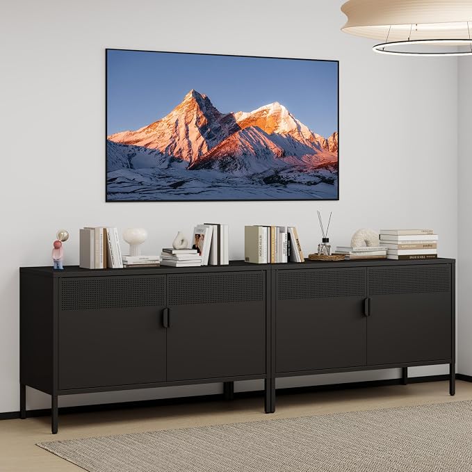 Metal Storage Cabinet with 2 Doors & Adjustable Shelves, Black | 25"H Accent Cabinet, Metal Locker Storage Cabinets, TV Stand Cabinet for Home, Office, Living Room, Entryway