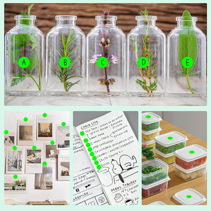 PARLAIM 10000PCS 1/2 Inch Round Color-Code Dot Stickers,Circle Color Coding Label Sticker for Home Office (Fluorescent Green)