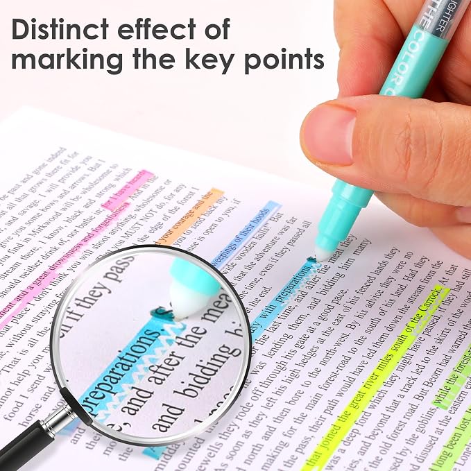 HANKU Erasable Highlighters, Dual Tip 10 Assorted Colors for Journaling | Cute Erasable Marker Pens, Smooth Writing, No Bleed, for Journaling, Planners, Bible Study, Back to School Supplies