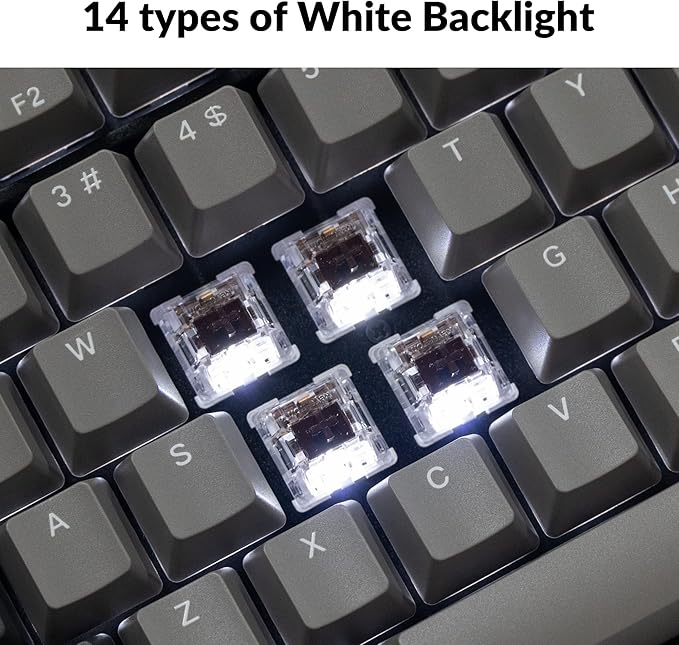 Keychron C2 Pro Wired Custom Mechanical Keyboard Full Size Layout QMK/VIA Programmable Macro White Backlit with Tactile Brown Switch OEM Profile Double-Shot PBT Keycaps for Mac Windows Linux