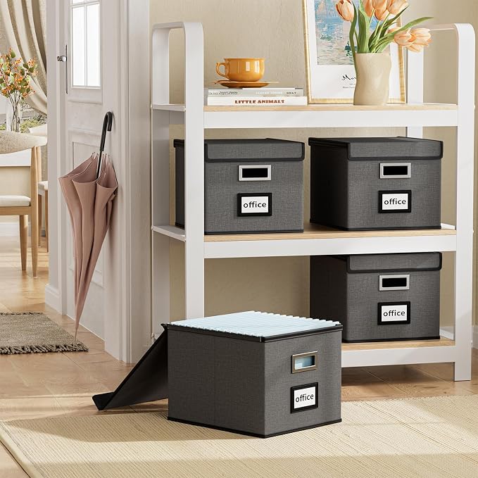 File Organizer Box with Lids, Collapsible File Folder Organizer | File Box with Plastic Slides for Document, Filing Bin for Letter Size Hanging File Folders (4 Pack, Dark Gray)