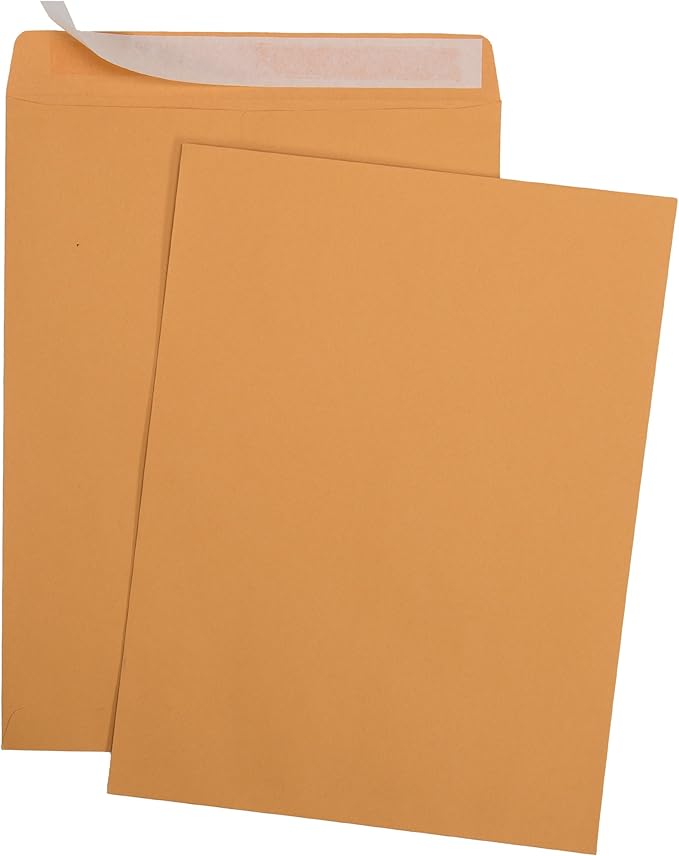 9 X 12 Self-Seal Brown Kraft Catalog Mailing Envelopes - 28lb - 250 Count, 9x12 Inch (38302)