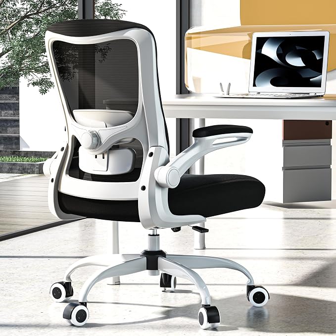 Ergonomic Office Chair for Long Hours, Adjustable Padded Lumbar Support for Lower Back Relief, 330 lb Capacity, Comfortable Computer Desk Chair for Home Office, Work & Study
