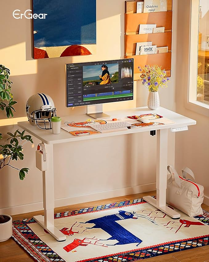 ErGear Height Adjustable Electric Standing Desk, 48 x 24 Inches Sit Stand up Desk, Memory Computer Home Office Desk, White