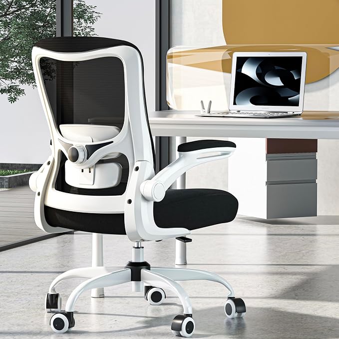Ergonomic Office Chair for Long Hours, Adjustable Padded Lumbar Support for Lower Back Relief, 330 lb Capacity, Comfortable Computer Desk Chair for Home Office, Work & Study