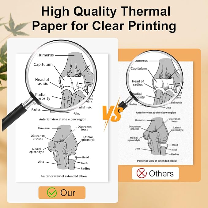4 Rolls 8.5'' x 11'' Phomemo Portable Printer Thermal Paper, US Letter Size Thermal Roll Paper Compatible with M832D M832 M834 M835 M836 A285M A282M A281M Portable Printer
