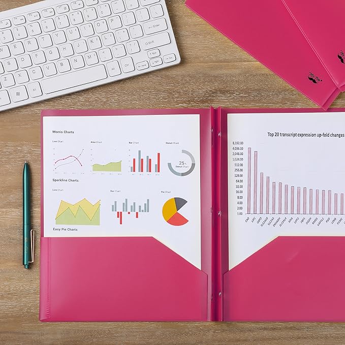 Mr. Pen- Plastic Folders with Pockets and Prongs, 5 Pack, Pink, Pocket Folders, Folders with Prongs, File Folders with Fasteners, 2 Pocket Folder, Folder with Pockets
