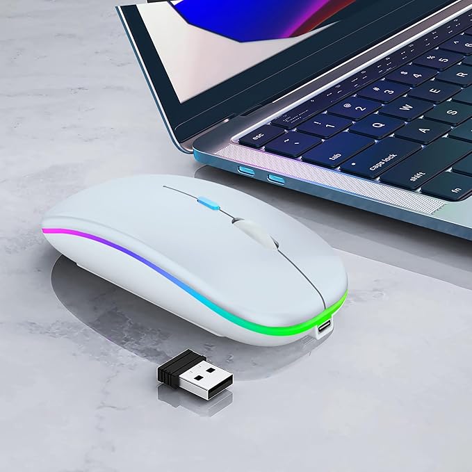 Wireless Bluetooth Mouse Rechargeable Laptop Mice with LED Lights Silent Slim Use(BT5.2 & USB 2.4G Portable Receiver) Dual Mode Computer Mouse for Laptop/iPad/Tablet/Apple/Computer/Mac(White)