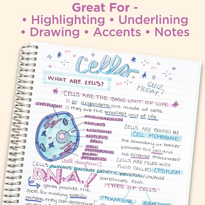 Zebra Pen MILDLINER No Bleed Highlighter, Assorted, Dual Tip, 5-Pack | Broad and Fine Point Tip Marker Set, Ideal for Bible Highlighting, Journaling, School, Teacher and Office Supplies (78105)