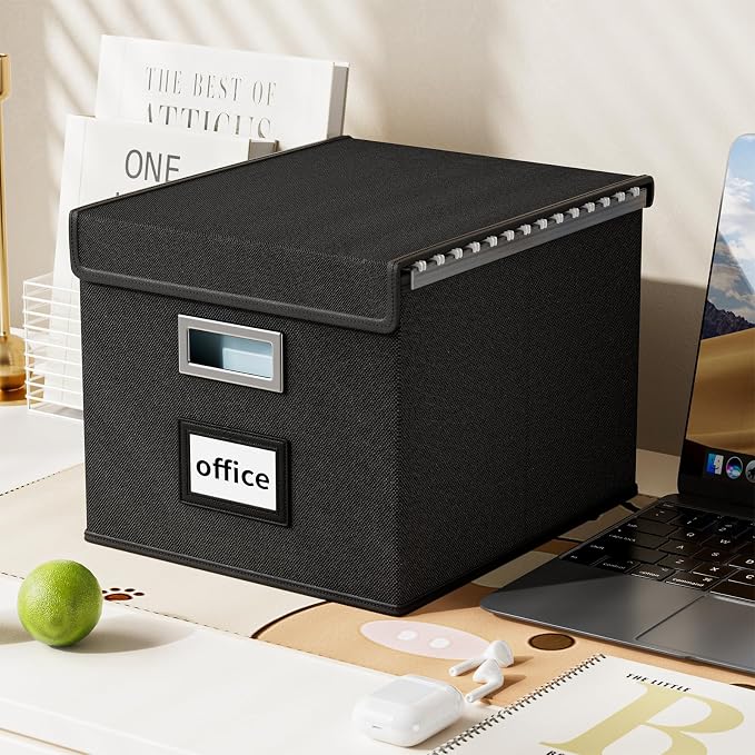 File Organizer Box with Lids, Collapsible File Folder Organizer | File Box with Plastic Slides for Office Document Storage, Filing Bin for Letter Size Hanging File Folders (2 Pack, Black)