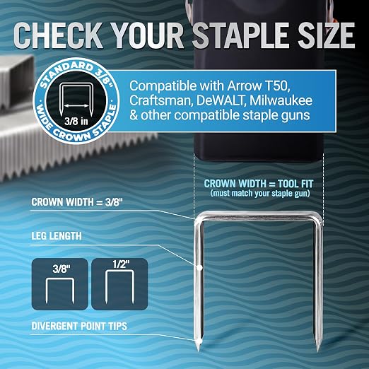 Better Boat Type T50 Stainless Steel Staples for Staple Gun, Heavy Duty | Staples Pack, Bunk Carpet, Upholstery Compatible with T-50 Staple Guns 3/8" width crown, 2000 Pack 3/8" Leg