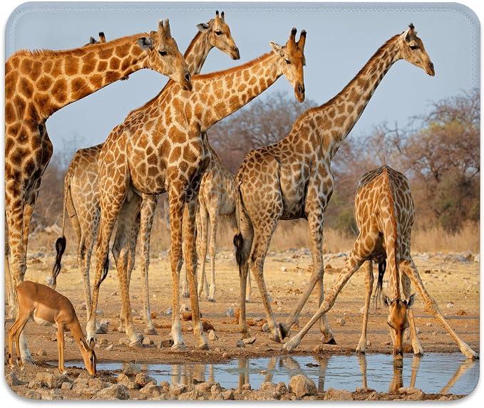 A Group of South African Giraffes Mouse Pad, Funny Wild Animals Desk Mat | Cute Mousepad Stitched, Anti-Slip Base Smooth Surface, 9.5 x 7.9 Inches