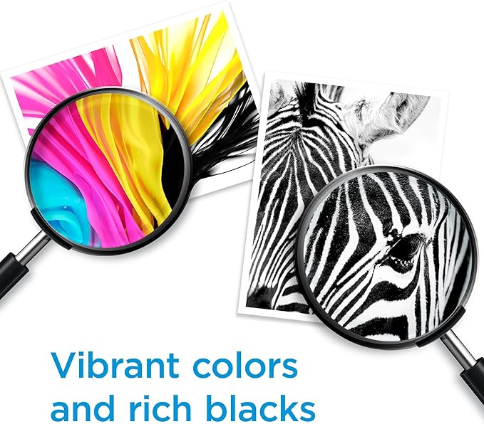 HP 952XL Black High-Yield Ink Cartridge Printers | Works OfficeJet 8702 OfficeJet Pro 7720,7740,8210,8216,8710,8715,8720,8725,8730,8740 | Eligible for Instant Ink-| F6U19AN,(Pack of 2)