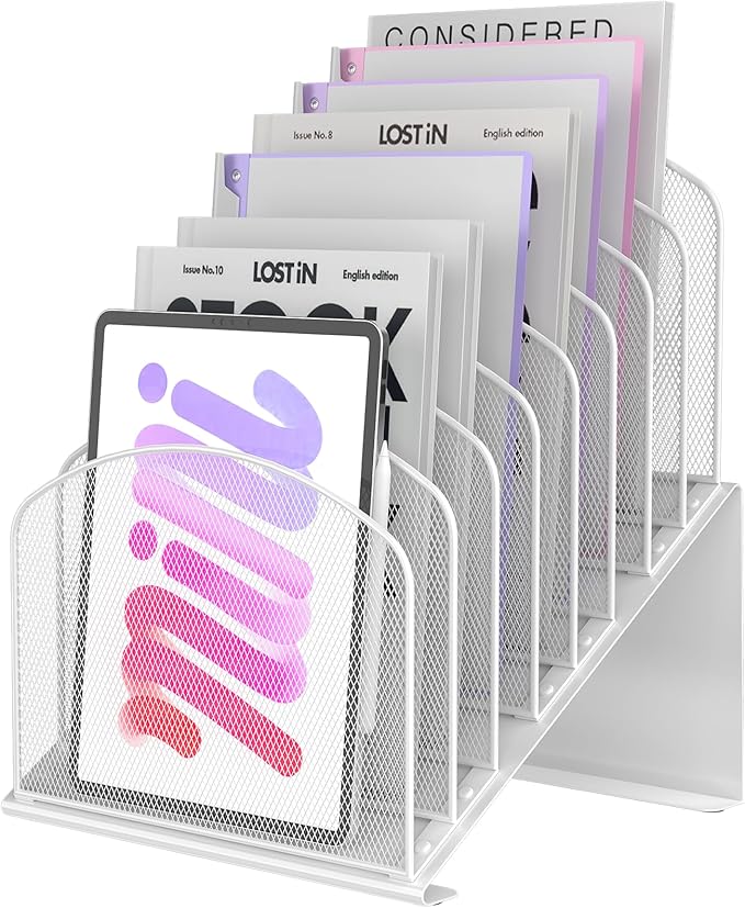 Sinboun Inclined Desk File Organizer Folder Holder with 8-Section, White
