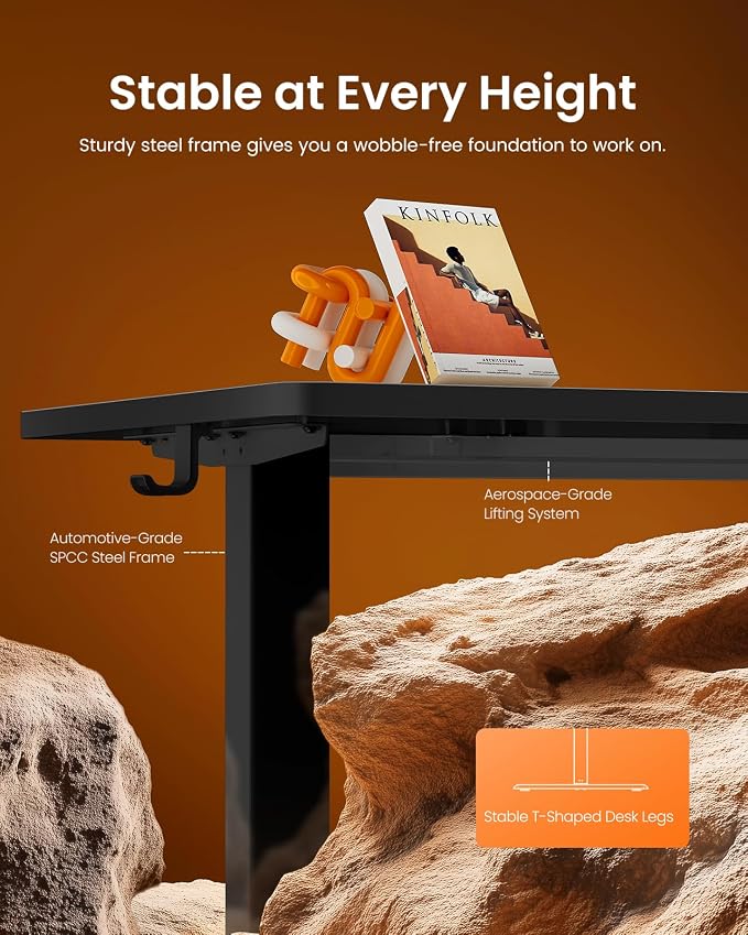 ErGear Height Adjustable Electric Standing Desk, 48 x 24 Inches Sit Stand up Desk, Memory Computer Home Office Desk, Carbon Fiber Black