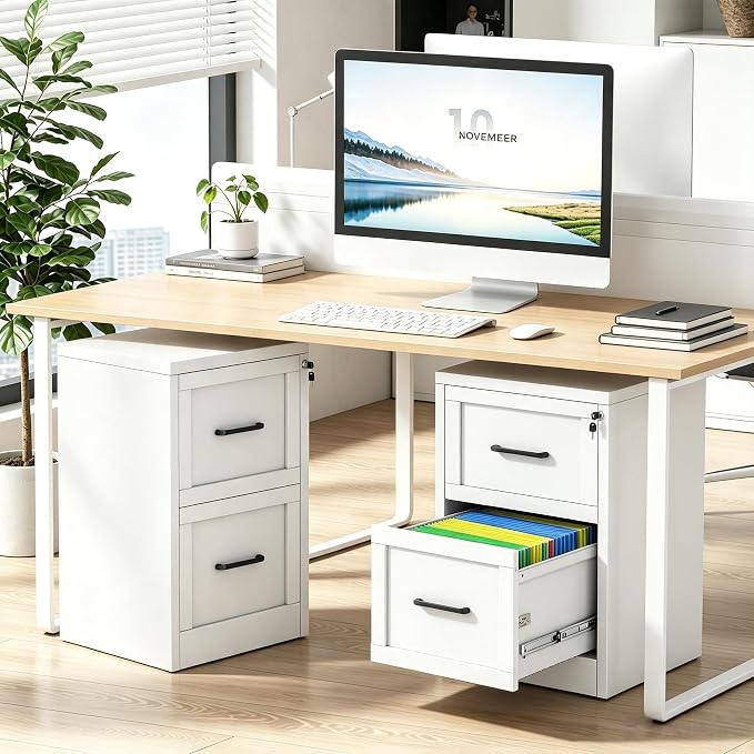 2 Drawer Metal File Cabinet with Lock,Narrow Vertical Filing Storage Cabinets,Steel File Organization for Legal/Letter/A4/F4 Size with Hanging Files,Lockable File Folders for Home Office, White