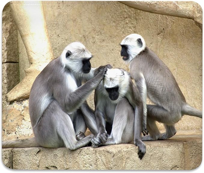 Gray Langur Monkeys Grooming Wildlife Primate Mouse Pad, Nature Desk Mat | Cute Stitched Mousepad, Anti-Slip Base Smooth Surface, 9.5 x 7.9 Inches