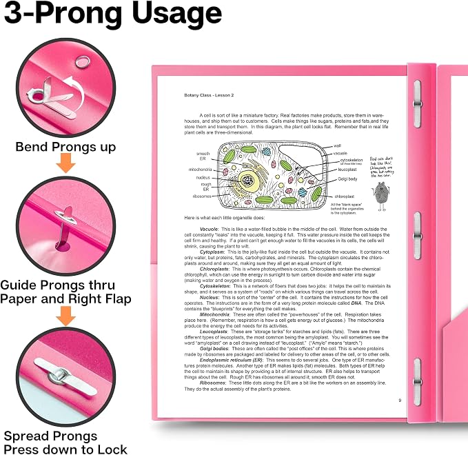 Dunwell Pastel 2-Pocket 3-Prong Folders, Plastic, 6 Pack, Labels | Aesthetic Color-Coded School Folders, Durable Plastic, Back to School Supplies