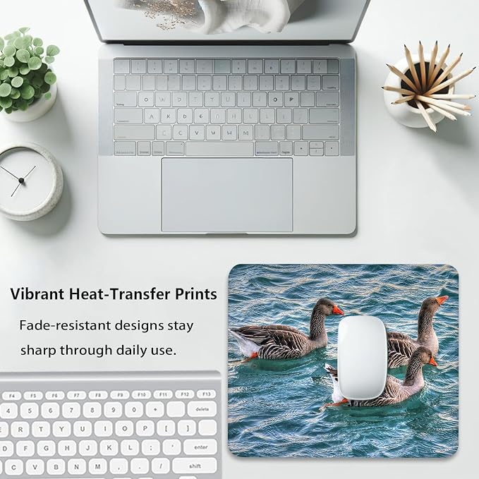 Greylag Geese Swimming on Teal Lake, Nature Wildlife Design Desk Mat | Cute Mousepad Stitched, Anti-Slip Base Smooth Surface, 9.5 x 7.9 Inches