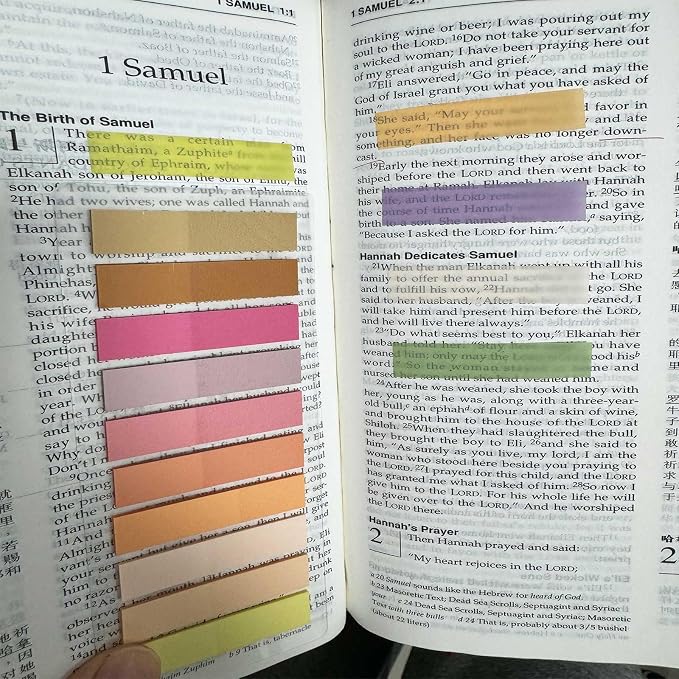 ELII 3600pcs Books Tabs for Annotating Page Markers Morandi Sticky Tabs | Transparent Sticky Notes Tabs,Label Stickers Index Tabs for Reading Notes, Classify File,Bible Study,Planning,Document