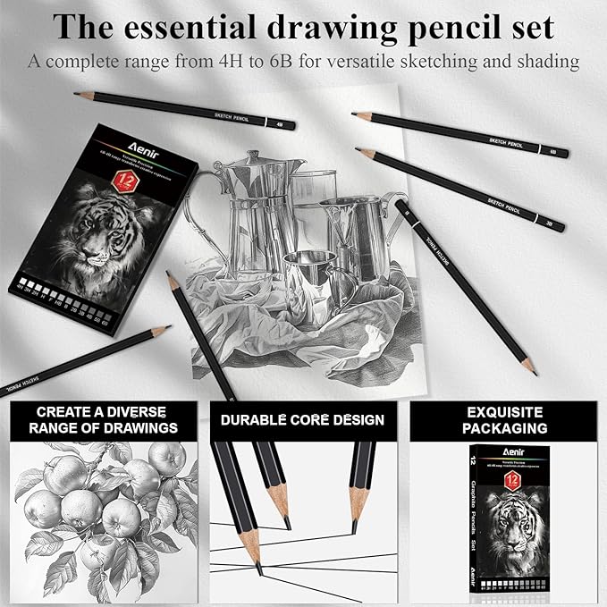 Sketch Pencils for Drawing, Set of 12 Drawing Pencils for Sketching Medium (6B - 4H), Artist Graphite Pencils, Sketch Set for Artists for Sketching Supplies, Art Supplies.