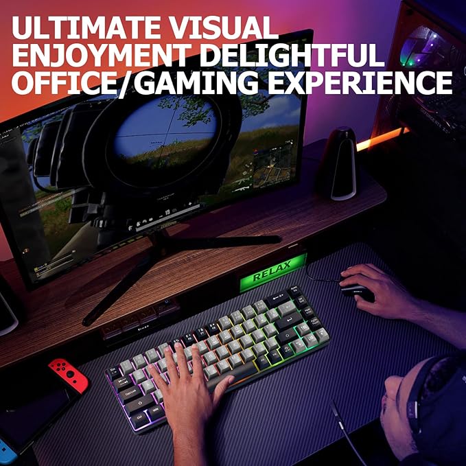 Wired Portable 60% Mechanical Feeling Gaming Keyboard,RGB LED Backlit Compact 68 Keys Mini Wired Office Keyboard for Windows Laptop PC Mac Gamer, Typist, Travel on Business Trip -Grey and Black