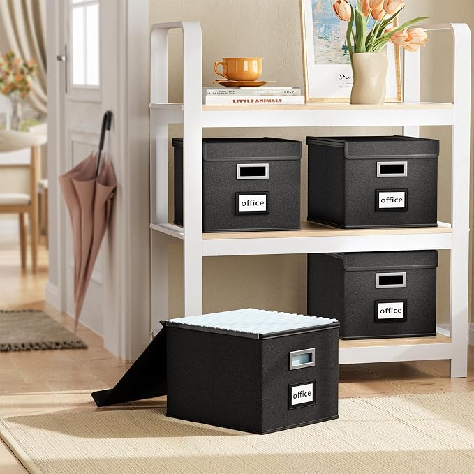 File Organizer Box with Lids, Collapsible File Folder Organizer | File Box with Plastic Slides for Office Document Storage, Filing Bin for Letter Size Hanging File Folders (2 Pack, Black)