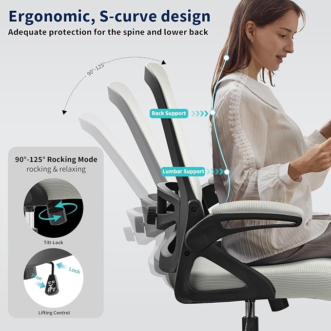 Ergonomic Office Chair Desk Chair with Adjustable Lumbar Support | Mesh Computer Chair Home Office Desk Chair with Flip-up Armrests Executive Task Chair Comfy Mesh Gaming Chair (Dark Gray)