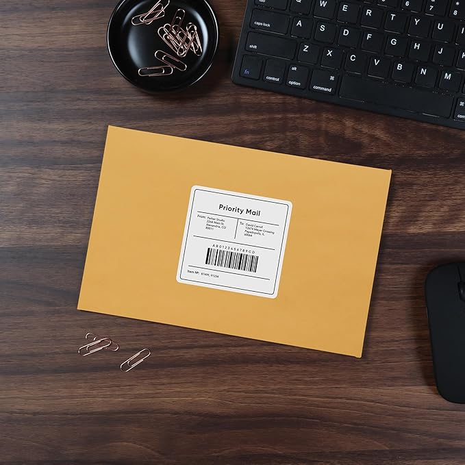 Quality Park Clasp Envelopes, 6.5 x 9.5 Inch Brown Kraft Catalog Envelopes, for Mailing Small Business Papers, Gummed Closure, Box of 100 (QUA37863)