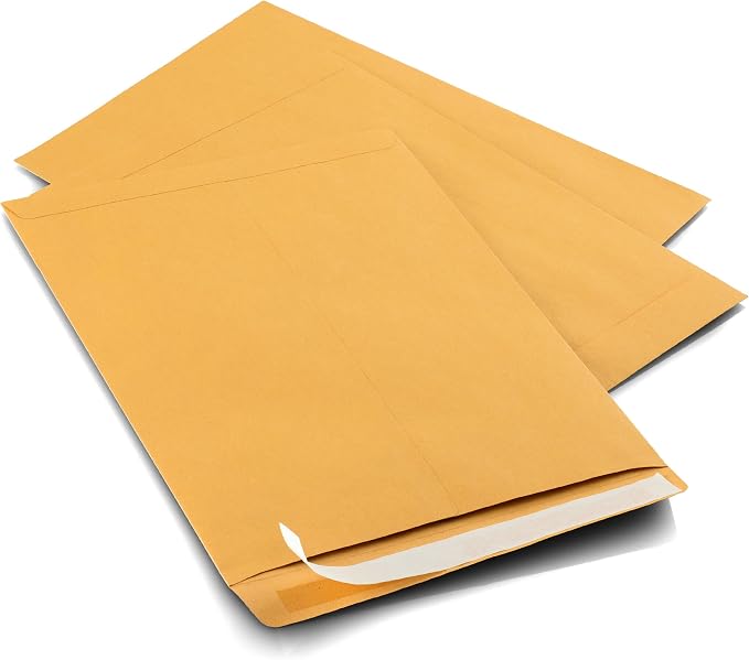 Aimoh 9 X 12 Self-Seal Brown Kraft Catalog Envelopes - 28lb - 9x12 inch (38325)(25 Count)