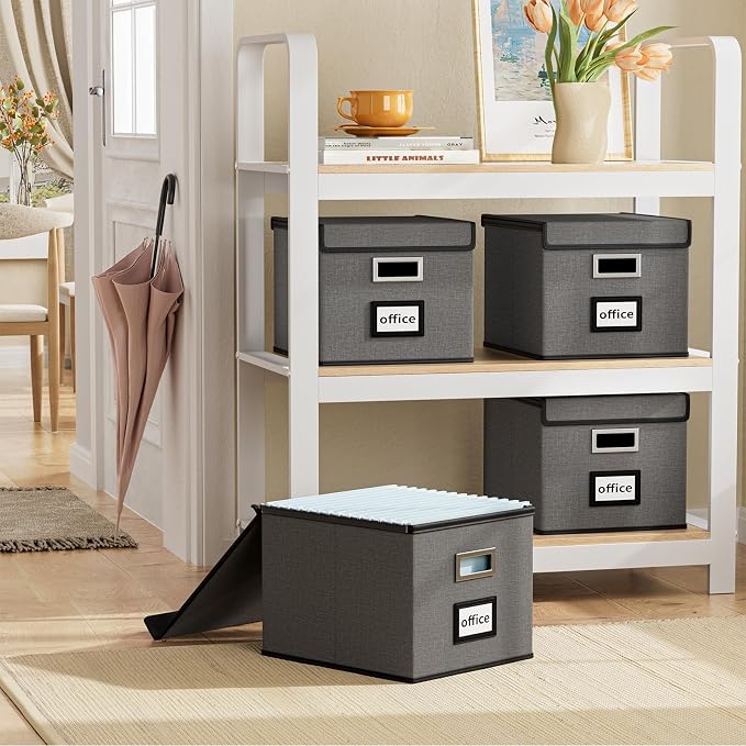 File Organizer Box with Lids, Collapsible File Folder Organizer | File Box with Plastic Slides for Document, Filing Bin for Letter Size Hanging File Folders (1 Pack, Smoky Gray)