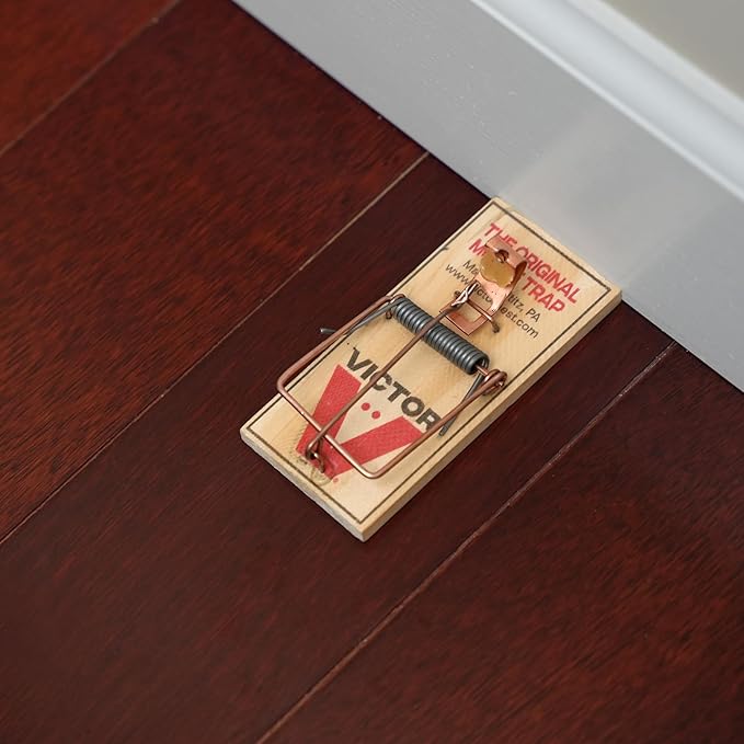 Victor Mouse Traps M150-12, Metal Pedal, Sustainably Sourced FSC Wood, Wooden Mouse Traps - Pack of 12