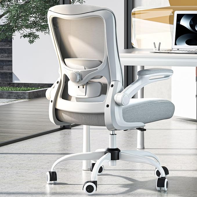 Ergonomic Office Chair for Long Hours, Adjustable Padded Lumbar Support for Lower Back Relief, 330 lb Capacity, Comfortable Computer Desk Chair for Home Office, Work & Study