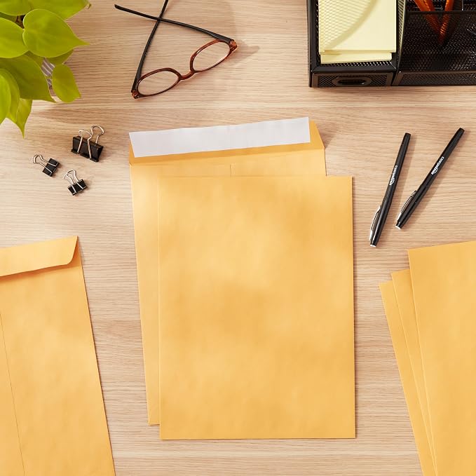 Amazon Basics Catalog Mailing Envelopes, Peel and Seal, 9" x 12", Brown Kraft, 100-Pack