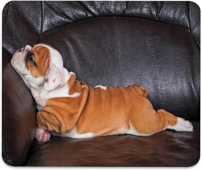 English Bulldog Mouse Pad, Puppy Resting on a Sofa Durable Desk Mat | Funny Animal Photography Canine, Cute Mousepad Stitched, Anti-Slip Base Smooth Surface, 9.5 x 7.9 Inches