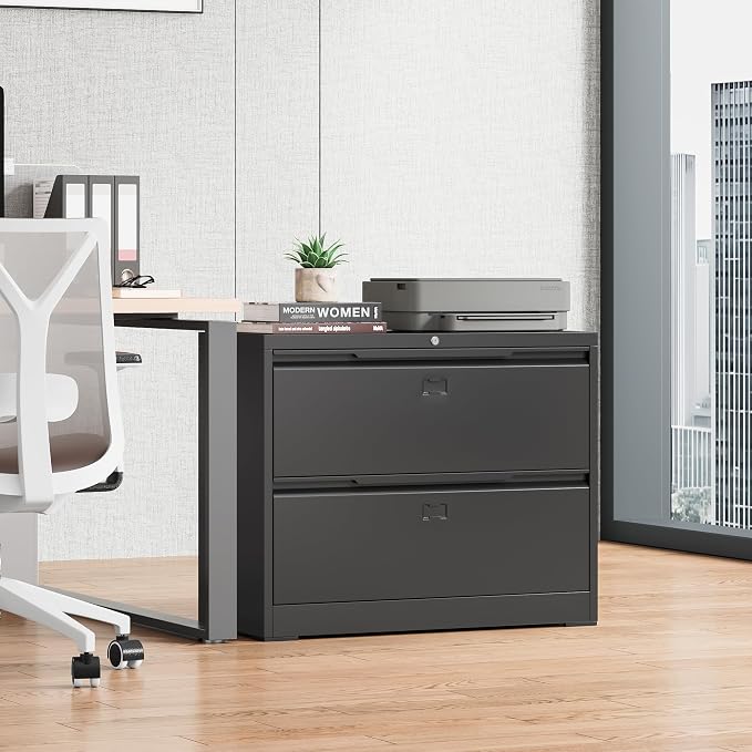 Bestoo 2 Drawer File Cabinet, Metal Lateral Filing Cabinet with Lock | Lockable Drawers, Large Storage Capacity, Heavy Duty Build, Smooth & Quiet Slides, Suitable for Letter/Legal/F4/A4 Size