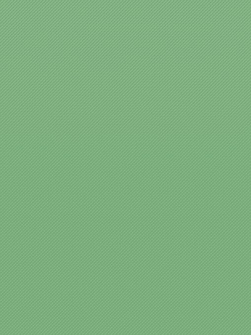 Teacher Created Resources Green Crush Better Than Paper Bulletin Board Roll (TCR77616)