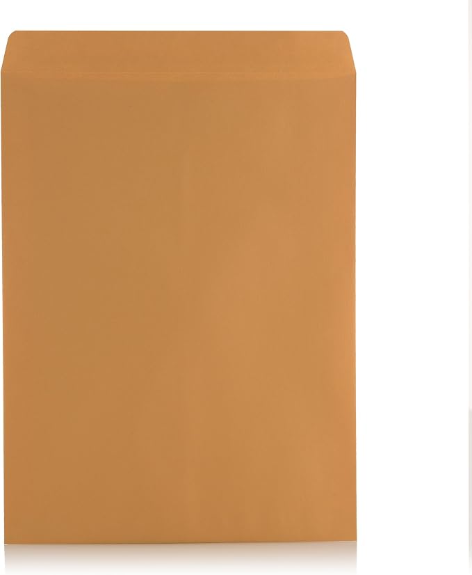 Aimoh 9x12 Self-Seal Brown Mailing Envelopes, Manilla Envelopes, 28lb 250ct | Self-Seal Closure, 28 LB Kraft Paper, Catalog Style, Brown, 9 x 12 in, Durable Construction, 250 Count (38302)