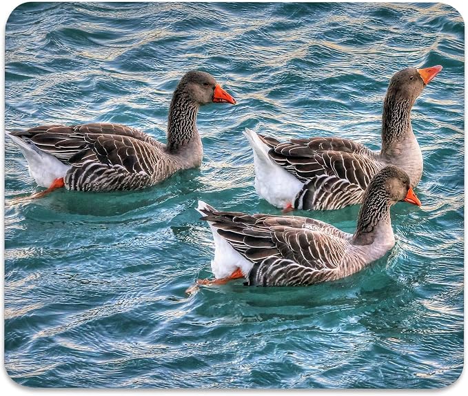 Greylag Geese Swimming on Teal Lake, Nature Wildlife Design Desk Mat | Cute Mousepad Stitched, Anti-Slip Base Smooth Surface, 9.5 x 7.9 Inches