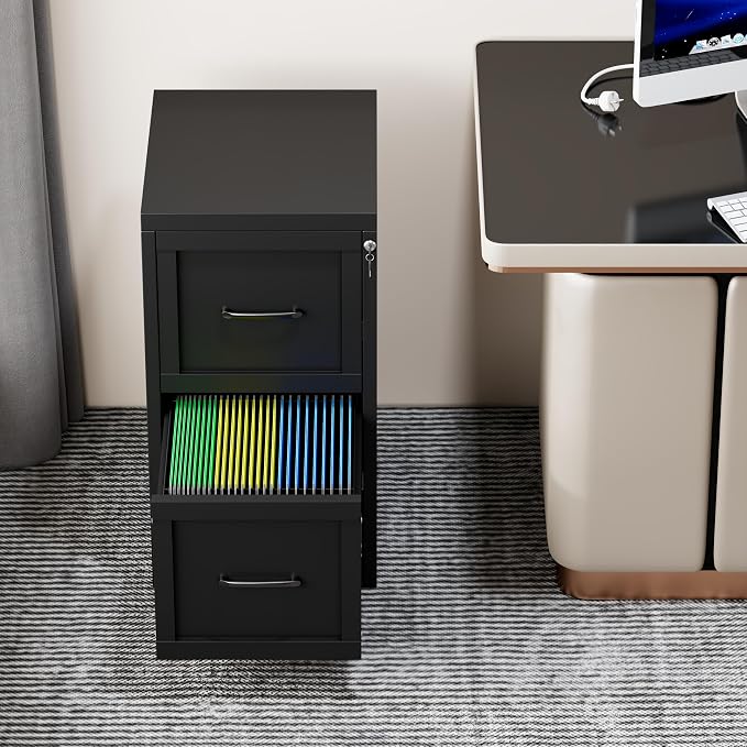 2-Drawer Metal File Cabinet with Lock, Narrow Vertical, Black | Metal vertical filing cabinet with adjustable rails for Letter, Legal and A4 folders; one lock secures both drawers