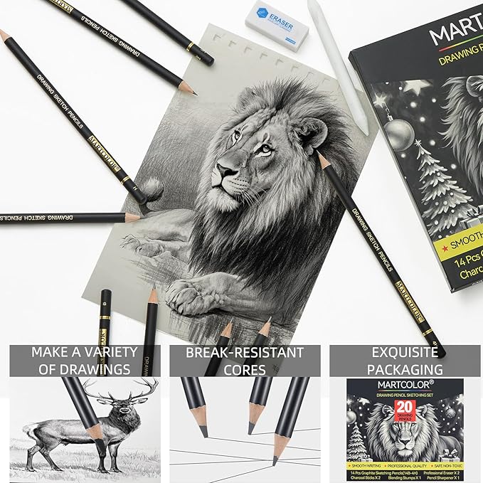 Drawing Sketching Pencil Set, 20 Pieces, Graphite Pencils (14B-4H), Charcoal Sticks, Stump, Eraser, Sharpeners, Ideal for Drawing Art, Sketching, Artist Pencils for Beginners & Pro Artists