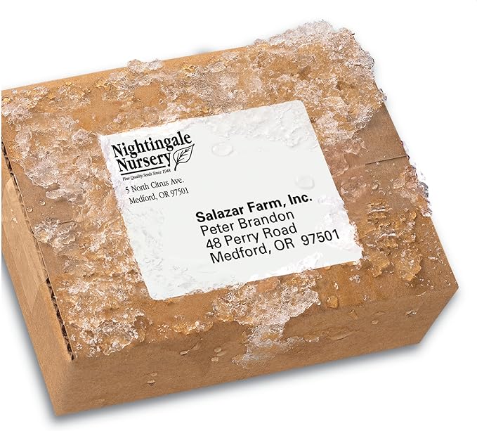 Avery Durable Waterproof Shipping Labels with Sure Feed Technology, 3-1/3" x 4", White, Laser Compatible, 300 Blank Labels Total, Great for Mailing, Branding, and More (5524)