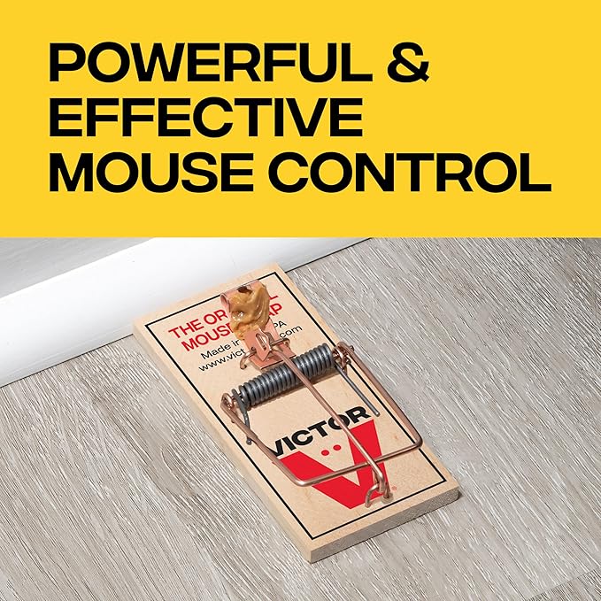 Victor Mouse Traps M150-12, Metal Pedal, Sustainably Sourced FSC Wood, Wooden Mouse Traps - Pack of 12